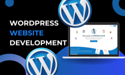 I will design, redesign wordpress landing page elementor, wordpress we